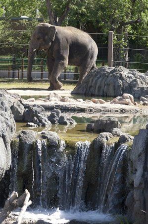 Zoo de Denver